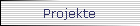 Projekte